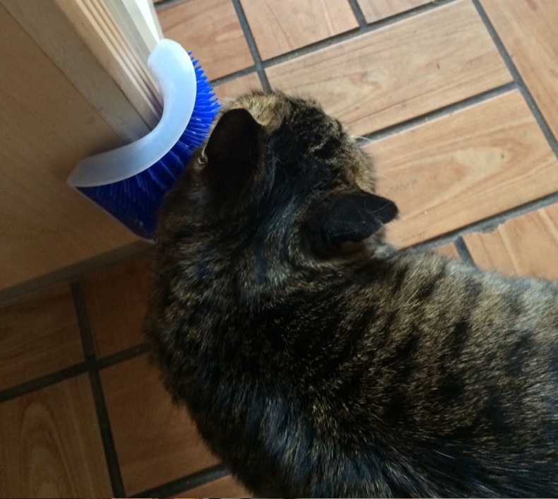 Cat Massage Comb Self Groomer Pet Brush Cat Massage Comb Self Groomer Pet Brush