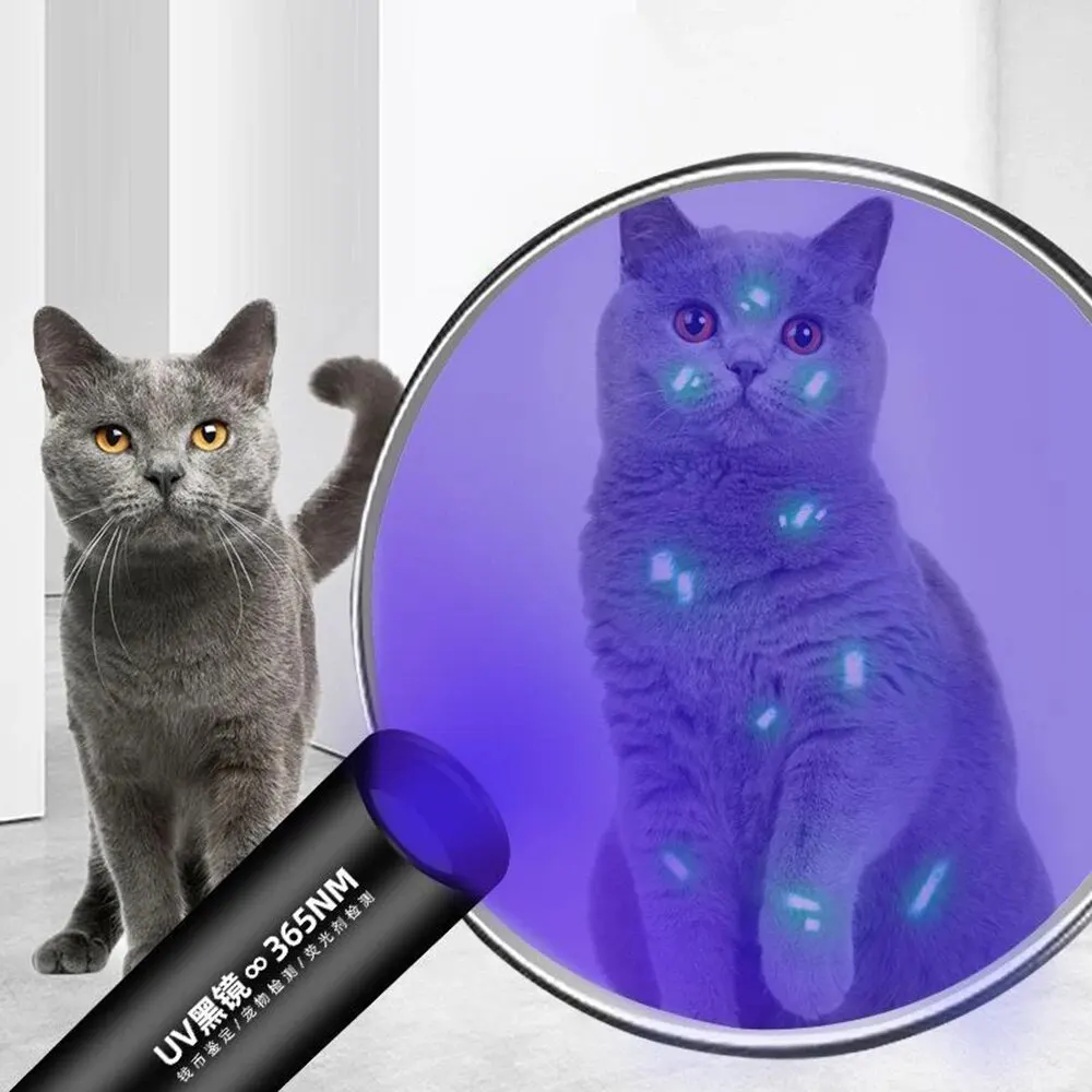 Cat Moss Detection Light Black Mirror UV Fluorescent Light Pet Fungus Detection Veterinary Professional Equipment Cat Moss Detection Light Black Mirror UV Fluorescent Light Pet Fungus Detection Veterinary Professional Equipment