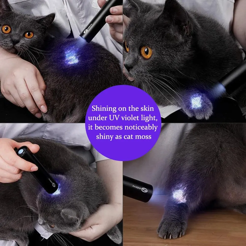 Cat Moss Detection Light Black Mirror UV Fluorescent Light Pet Fungus Detection Veterinary Professional Equipment Cat Moss Detection Light Black Mirror UV Fluorescent Light Pet Fungus Detection Veterinary Professional Equipment
