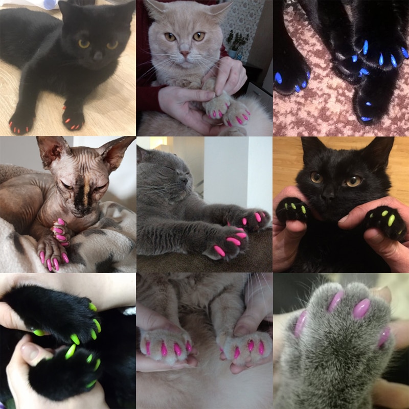 Cat Nail Caps Soft Rubber Covering (100 pcs) Cat Nail Caps Soft Rubber Covering (100 pcs)