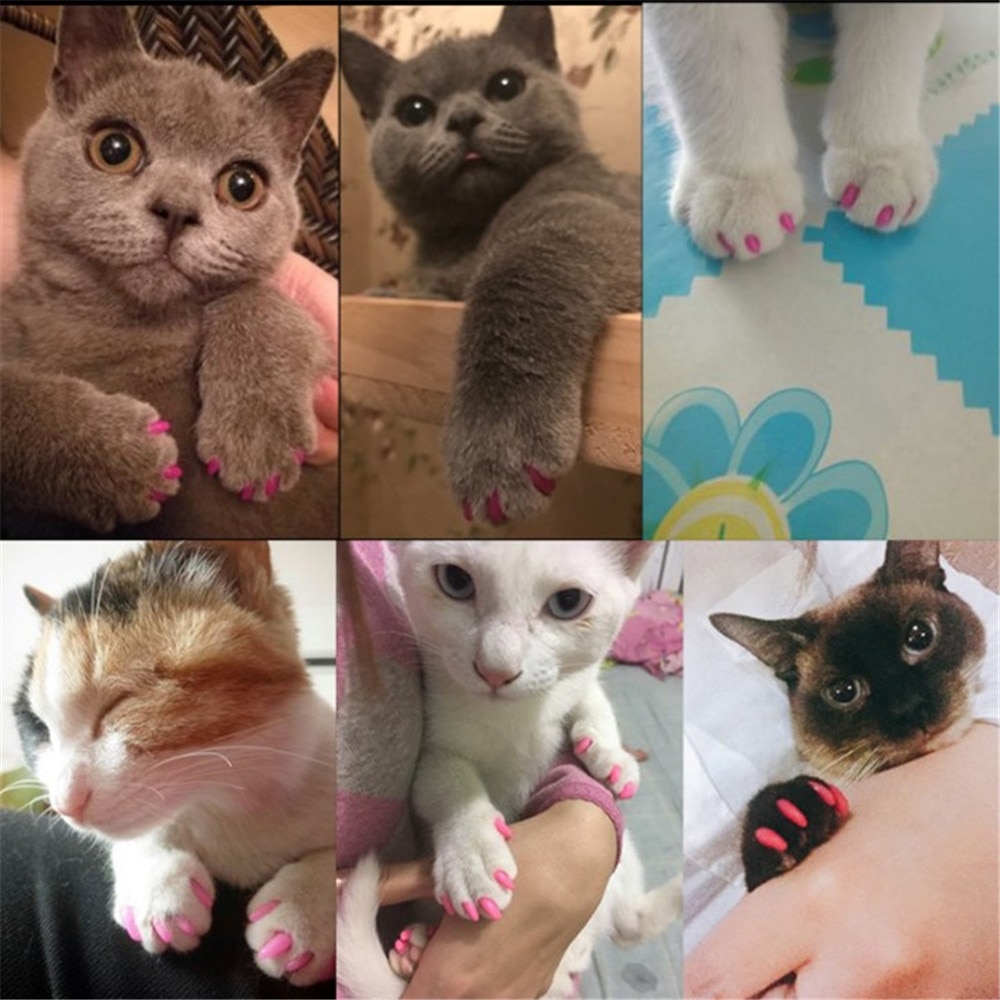 Cat Nail Covers Pet Paws Caps Cat Nail Covers Pet Paws Caps