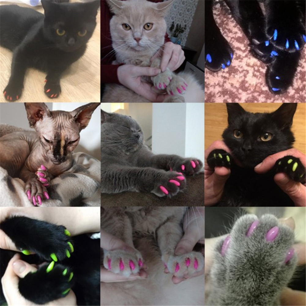 Cat Nail Covers Pet Paws Caps Cat Nail Covers Pet Paws Caps