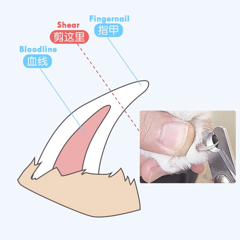Cat Nail Trimmer Pet Clipper with Lock