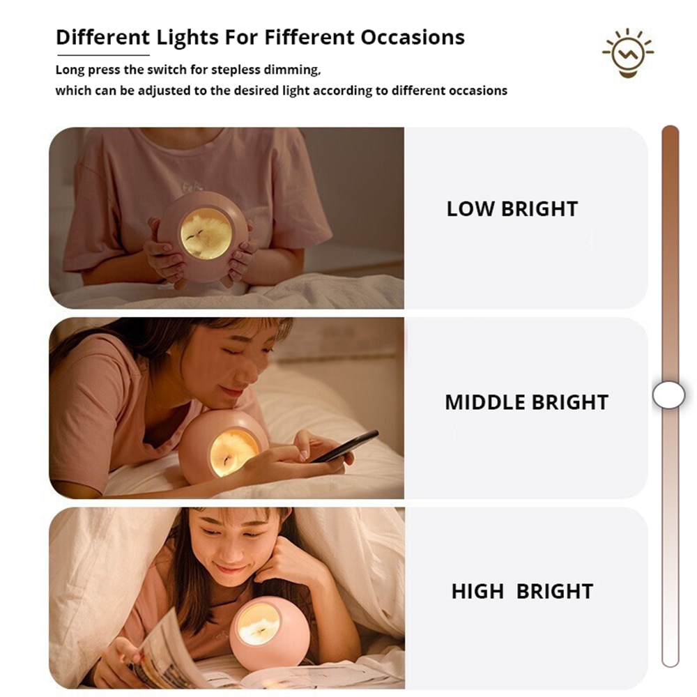 Cat Night Light Rechargeable Table Lamp Cat Night Light Rechargeable Table Lamp