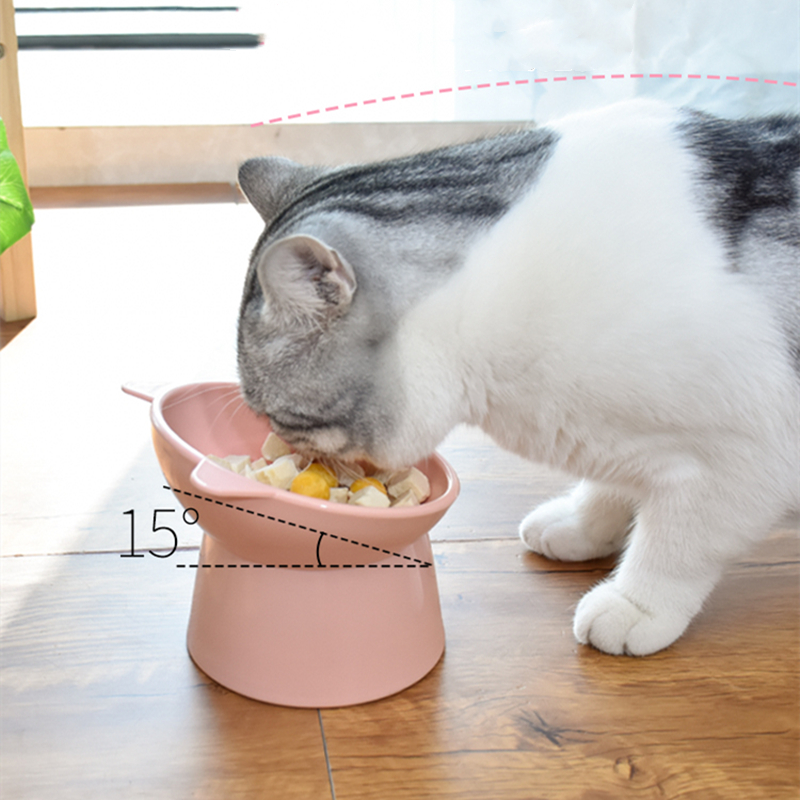 Cat Raised Bowl 15° Tilted Design Cat Raised Bowl 15° Tilted Design