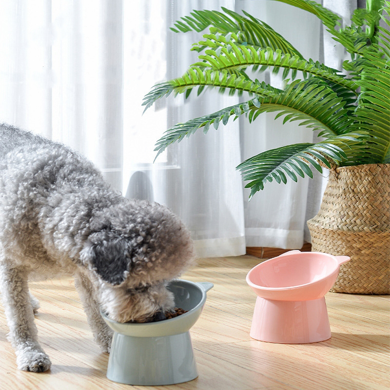 Cat Raised Bowl 15° Tilted Design Cat Raised Bowl 15° Tilted Design