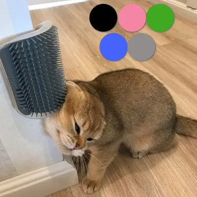 Cat Self Grooming Brush with Catnip Cat Self Grooming Brush with Catnip
