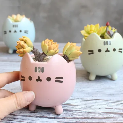 Cat Succulent Pot Ceramic Plant Holder