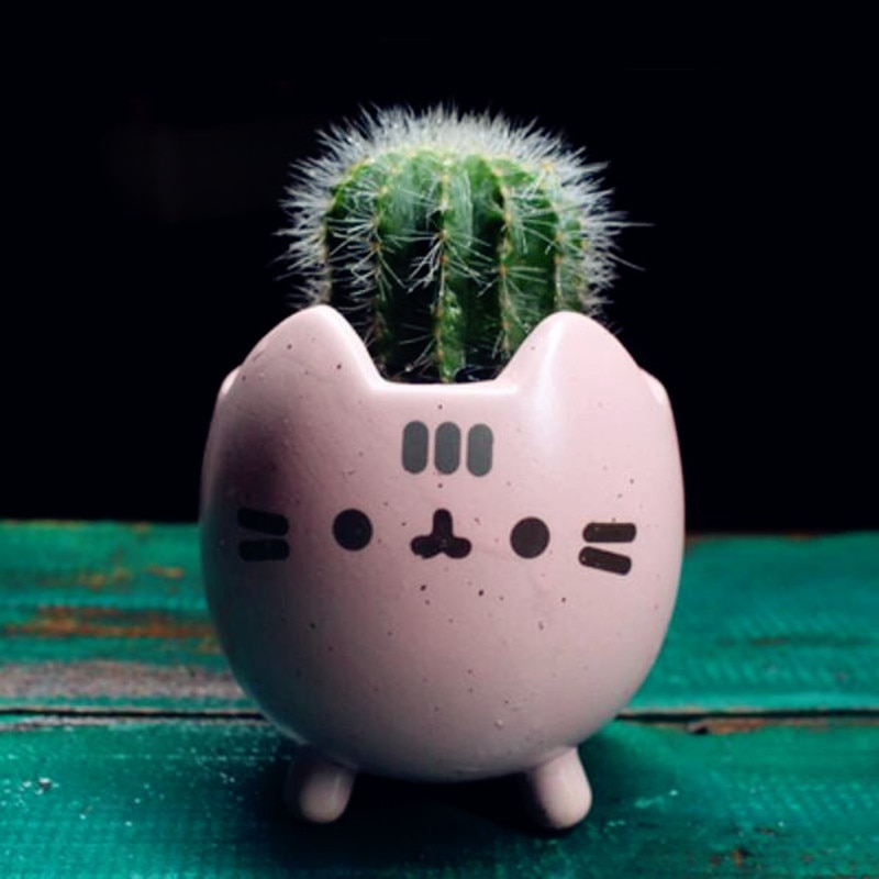 Cat Succulent Pot Ceramic Plant Holder