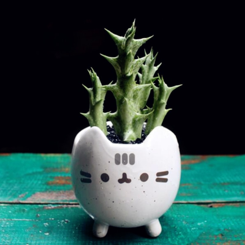Cat Succulent Pot Ceramic Plant Holder