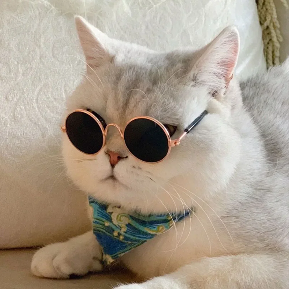 Cat Sunglasses Summer Outdoor Puppy UV Protection Sunglasses Dolls Sun Glasses Small Dog Cosplay Photo Props Cute Pet Cat Sunglasses Summer Outdoor Puppy UV Protection Sunglasses Dolls Sun Glasses Small Dog Cosplay Photo Props Cute Pet