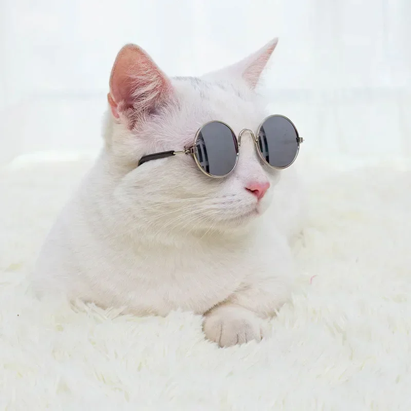 Cat Sunglasses Summer Outdoor Puppy UV Protection Sunglasses Dolls Sun Glasses Small Dog Cosplay Photo Props Cute Pet Cat Sunglasses Summer Outdoor Puppy UV Protection Sunglasses Dolls Sun Glasses Small Dog Cosplay Photo Props Cute Pet