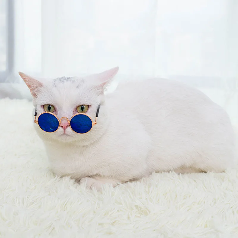Cat Sunglasses Summer Outdoor Puppy UV Protection Sunglasses Dolls Sun Glasses Small Dog Cosplay Photo Props Cute Pet Cat Sunglasses Summer Outdoor Puppy UV Protection Sunglasses Dolls Sun Glasses Small Dog Cosplay Photo Props Cute Pet