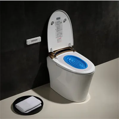 Cat Toilet Seat Potty Trainer