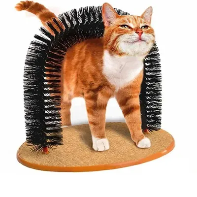 Cat Toy Arch Self Groome Pamper Feline with A Massage Grooming Rubbing Brush with Scratching Pad Toy for Cats Cat Toy Arch Self Groome Pamper Feline with A Massage Grooming Rubbing Brush with Scratching Pad Toy for Cats