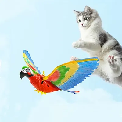 Cat Toys Simulation Electric Parrot Silent Hanging Line Flying Bird Toy Hovering Teasing Pet Training Supplies Cat Toys Simulation Electric Parrot Silent Hanging Line Flying Bird Toy Hovering Teasing Pet Training Supplies