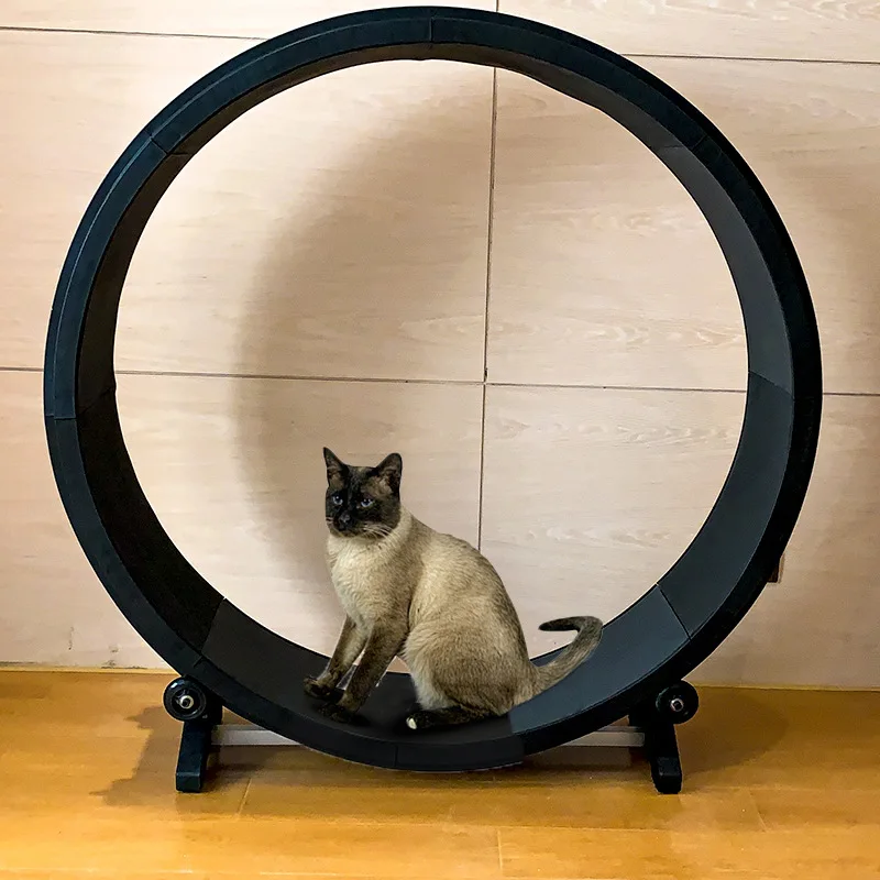 Cat Treadmill Fitness Weight Loss Grinding Claw Cat Roller Multifunctional Mute Pet Treadmill Cat Teaser Toy