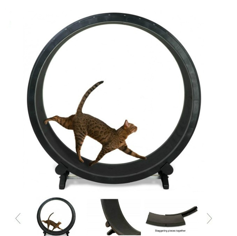 Cat Treadmill Pet Accessory Cat Treadmill Pet Accessory