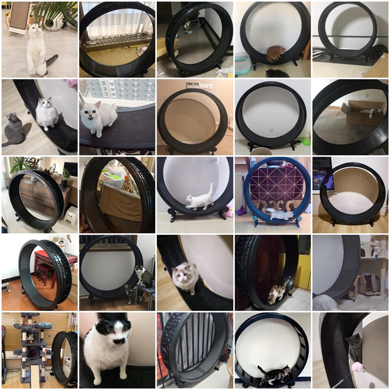 Cat Treadmill Pet Accessory Cat Treadmill Pet Accessory