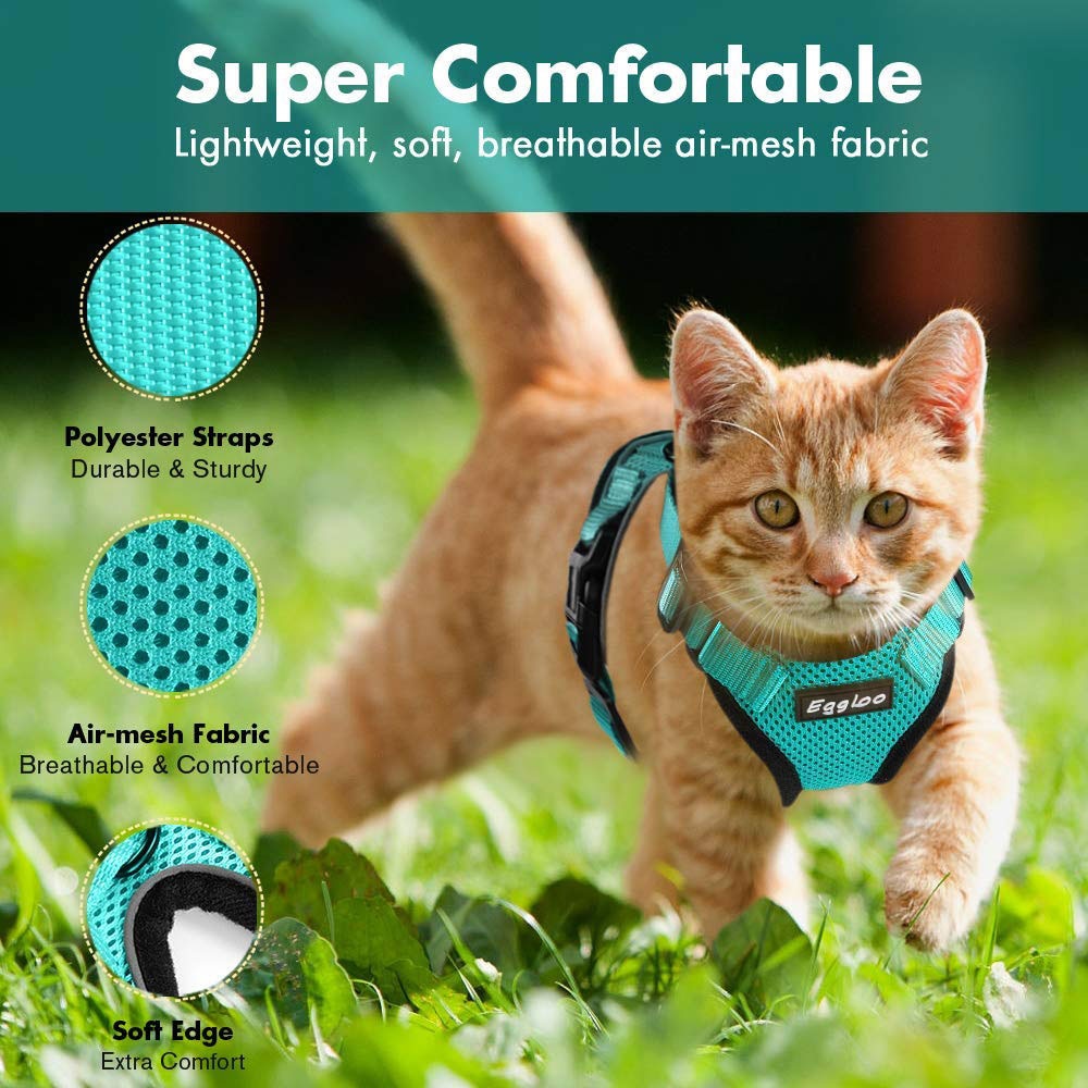 Cat Vest Harness And Leash Set Cat Vest Harness And Leash Set