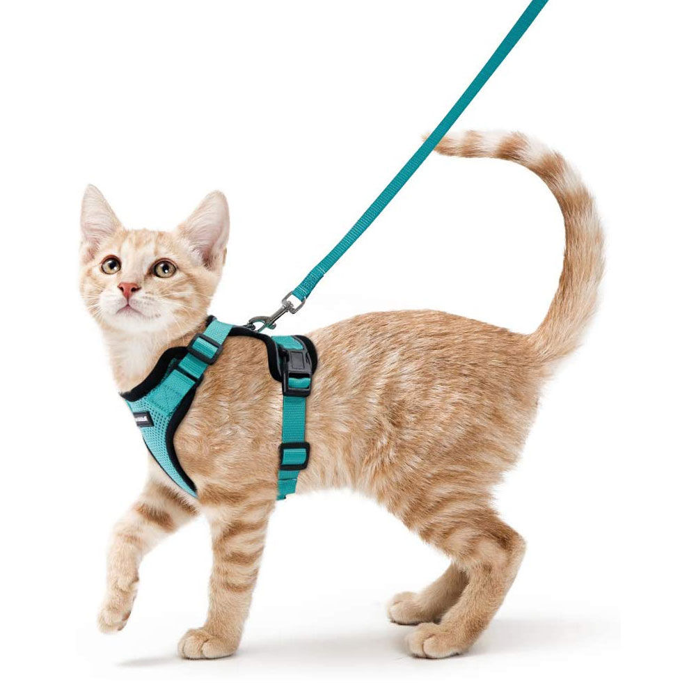 Cat Vest Harness And Leash Set Cat Vest Harness And Leash Set