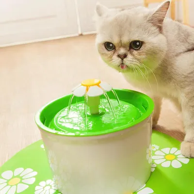 Cat Water Fountain Automatic Dispenser Cat Water Fountain Automatic Dispenser