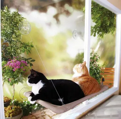Cat Window Hammock Hanging Bed Cat Window Hammock Hanging Bed