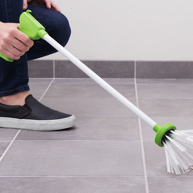 Catch and Release Humane Spider Catcher