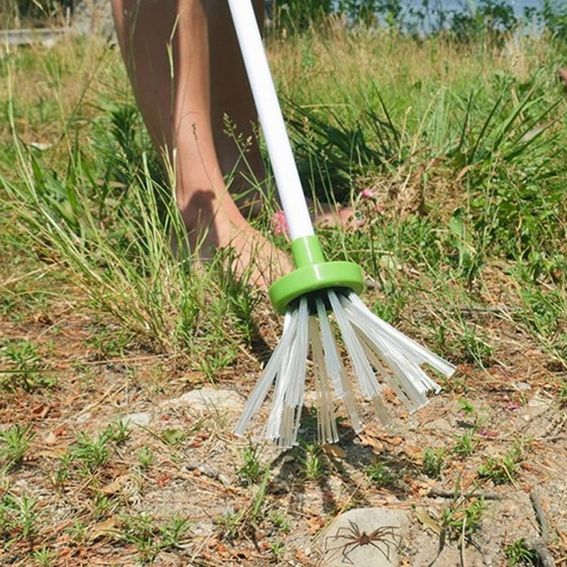 Catch and Release Humane Spider Catcher