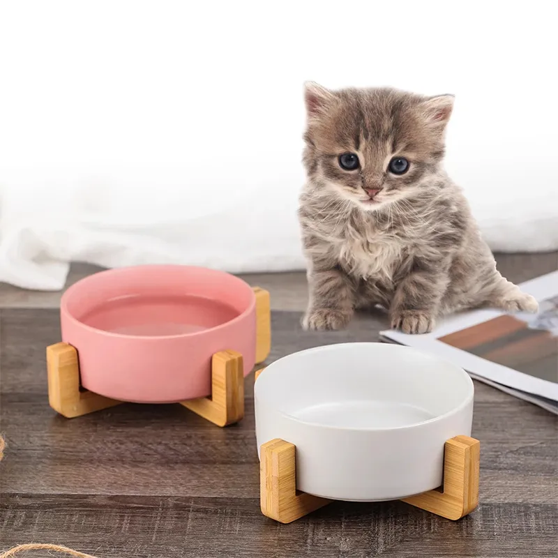 Ceramic Dog Bowls with Wood Stand