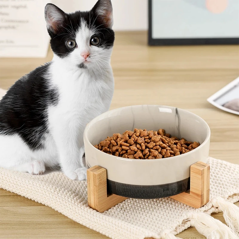 Ceramic Dog Bowls with Wood Stand