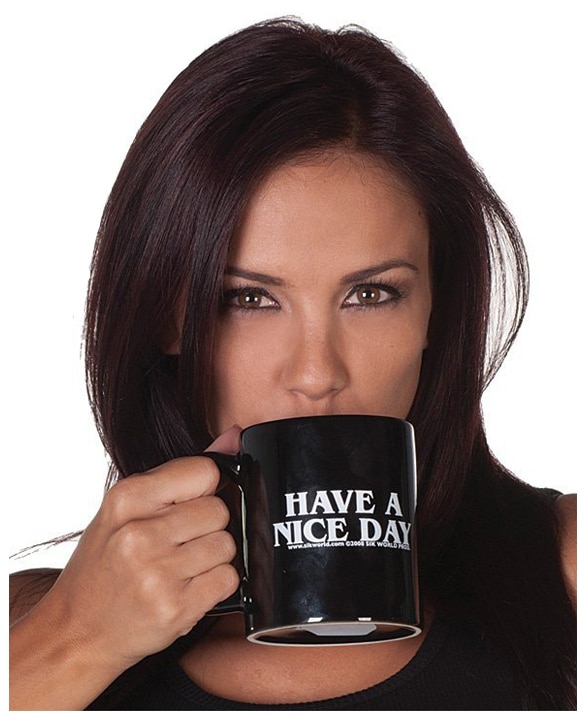 Ceramic Funny Have A Nice Day Mug