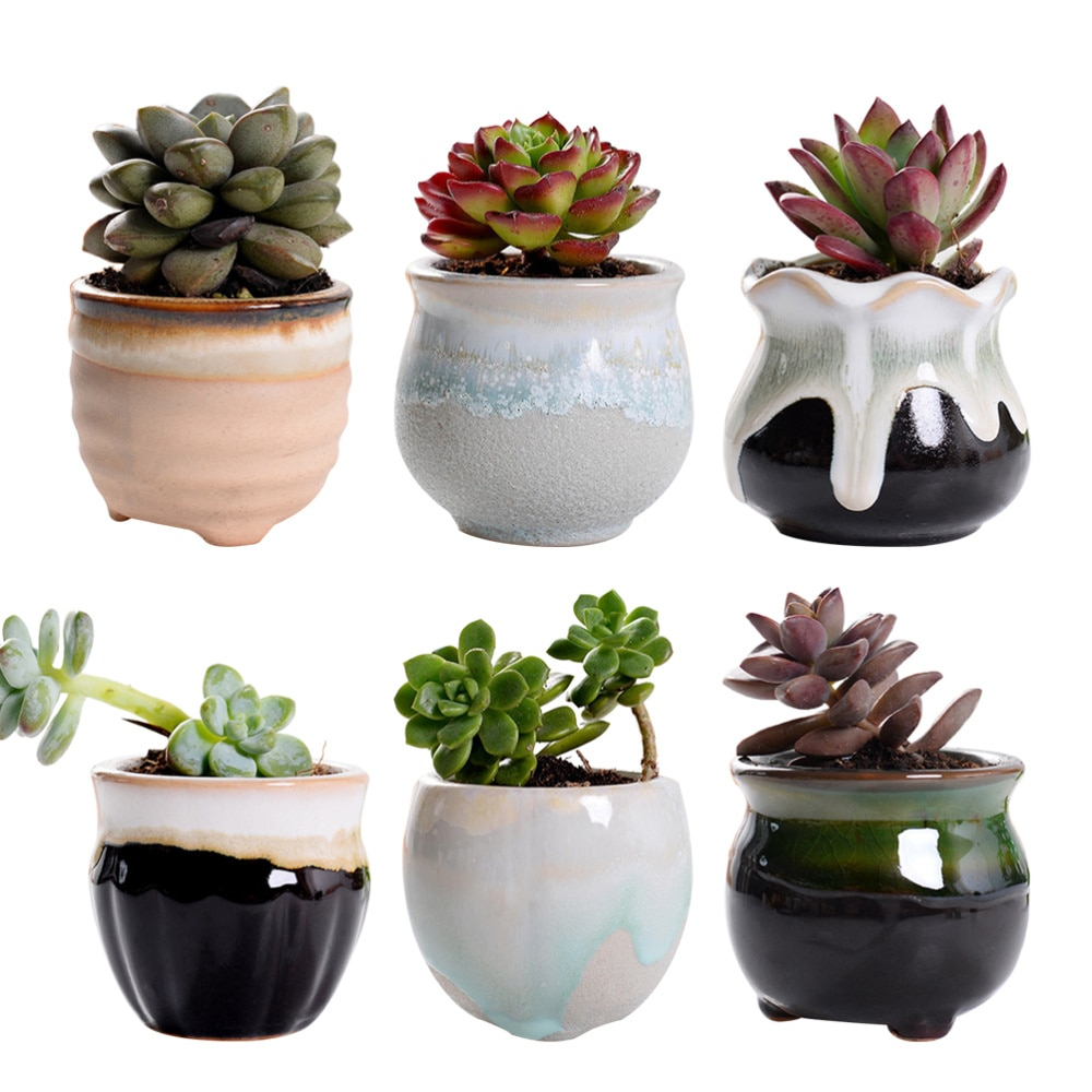 Ceramic Mini Plant Pots (6 Pcs)