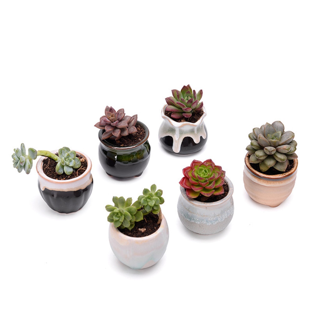 Ceramic Mini Plant Pots (6 Pcs) Ceramic Mini Plant Pots (6 Pcs)