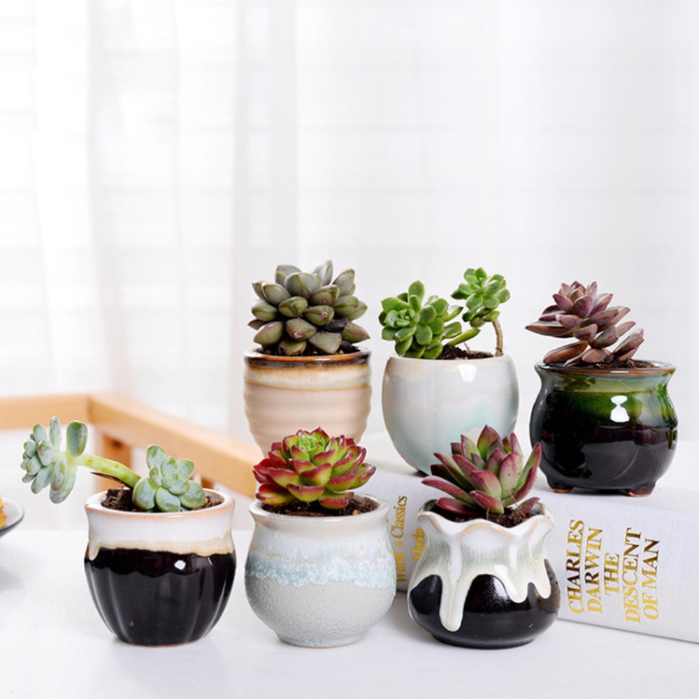 Ceramic Mini Plant Pots (6 Pcs) Ceramic Mini Plant Pots (6 Pcs)
