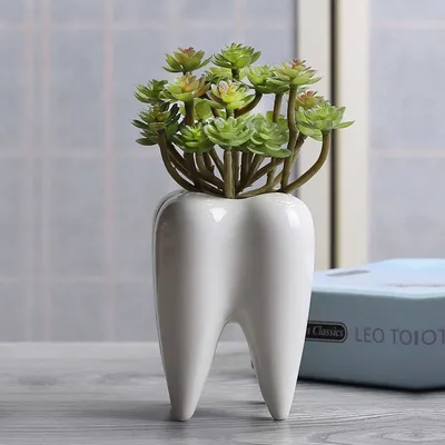 Ceramic Mini Plant Tooth Planter Ceramic Mini Plant Tooth Planter