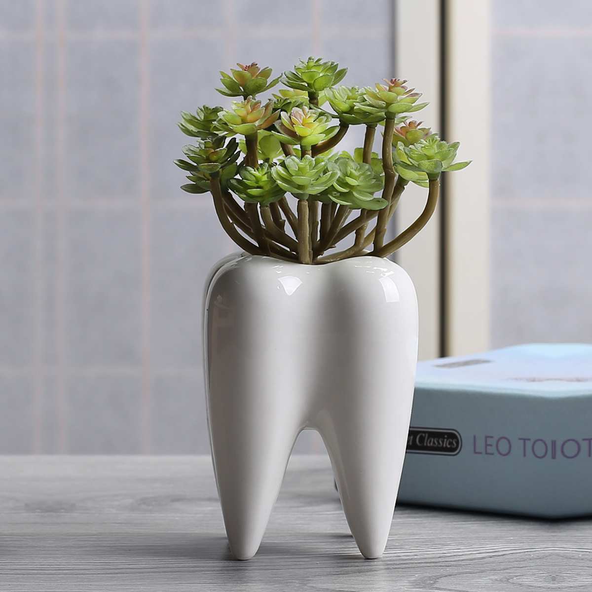 Ceramic Mini Plant Tooth Planter