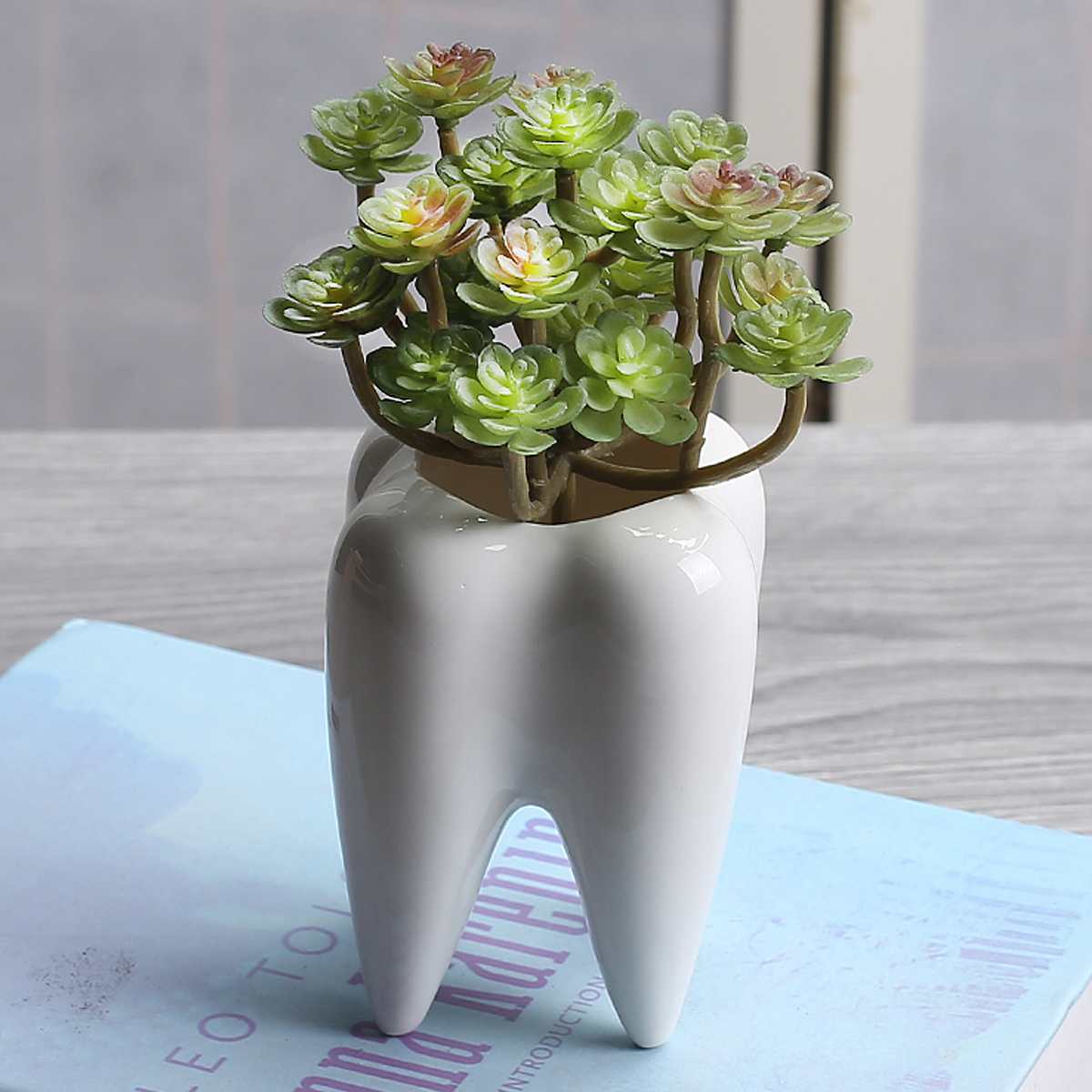 Ceramic Mini Plant Tooth Planter Ceramic Mini Plant Tooth Planter