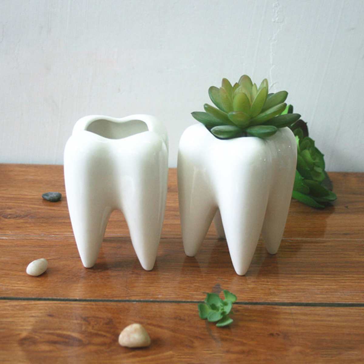 Ceramic Mini Plant Tooth Planter Ceramic Mini Plant Tooth Planter