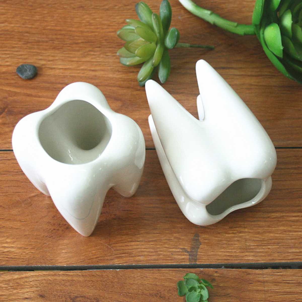 Ceramic Mini Plant Tooth Planter Ceramic Mini Plant Tooth Planter