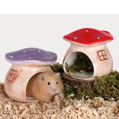 Ceramic Mushroom Hamster Hideout Ceramic Mushroom Hamster Hideout