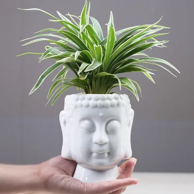 Ceramic White Buddha Head Planter Ceramic White Buddha Head Planter