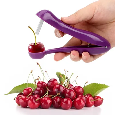 Cherry Pit Remover Kitchen Tool Cherry Pit Remover Kitchen Tool