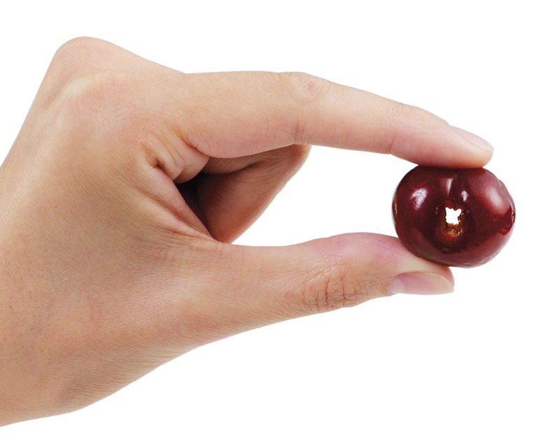 Cherry Pitter Seed Remover Kitchen Tool Cherry Pitter Seed Remover Kitchen Tool