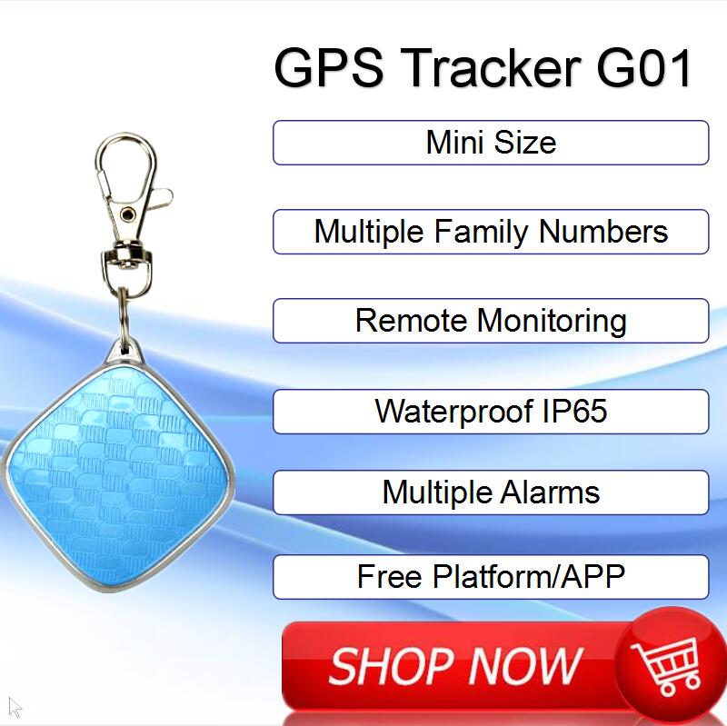 Child GPS Tracker Mini Keychain Child GPS Tracker Mini Keychain