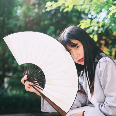 Chinese Fan Blank Silk Cloth Chinese Fan Blank Silk Cloth