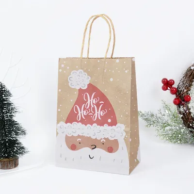 Christmas Kraft Bags with Handles (5pcs)