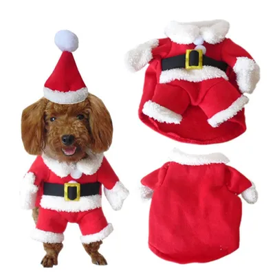 Christmas Santa Dog Costume