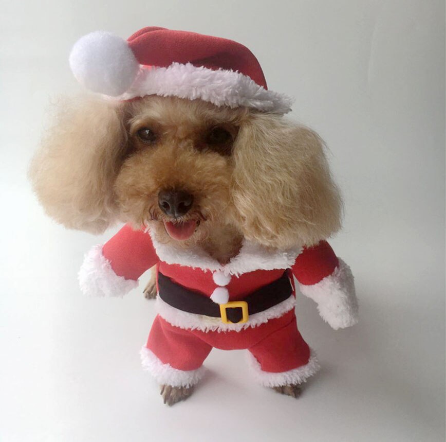 Christmas Santa Dog Costume