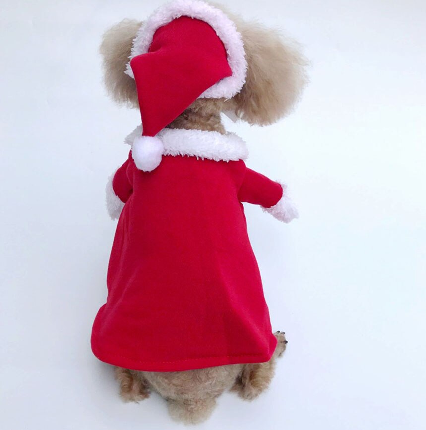 Christmas Santa Dog Costume